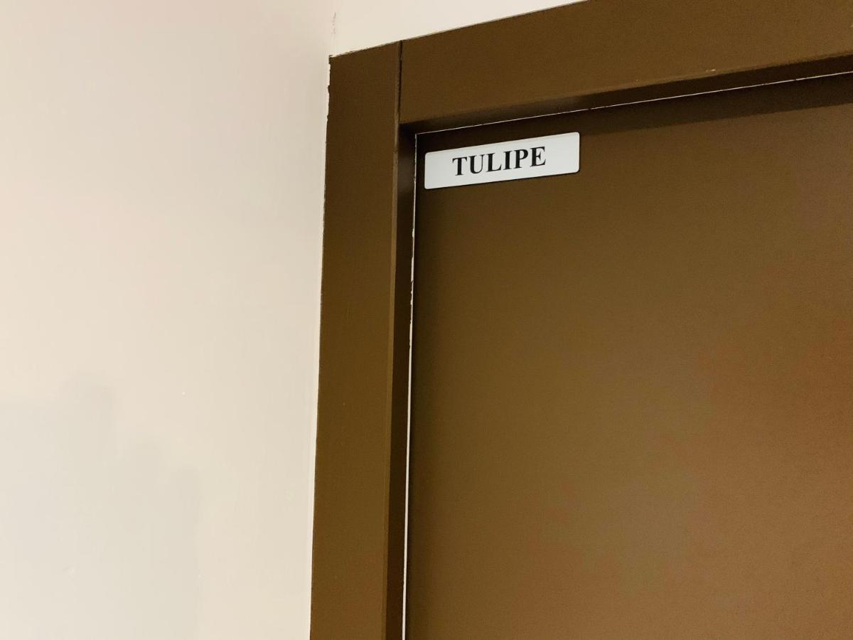 Tulipe Studio Daire Manosque Dış mekan fotoğraf